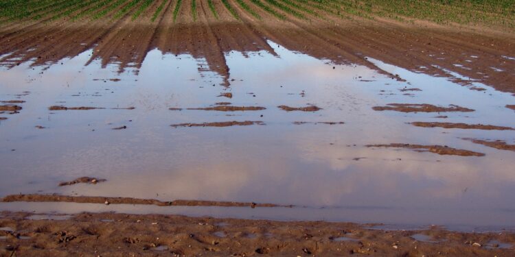 Unijny potop. 400 tys. hektarów pól pod wodą?